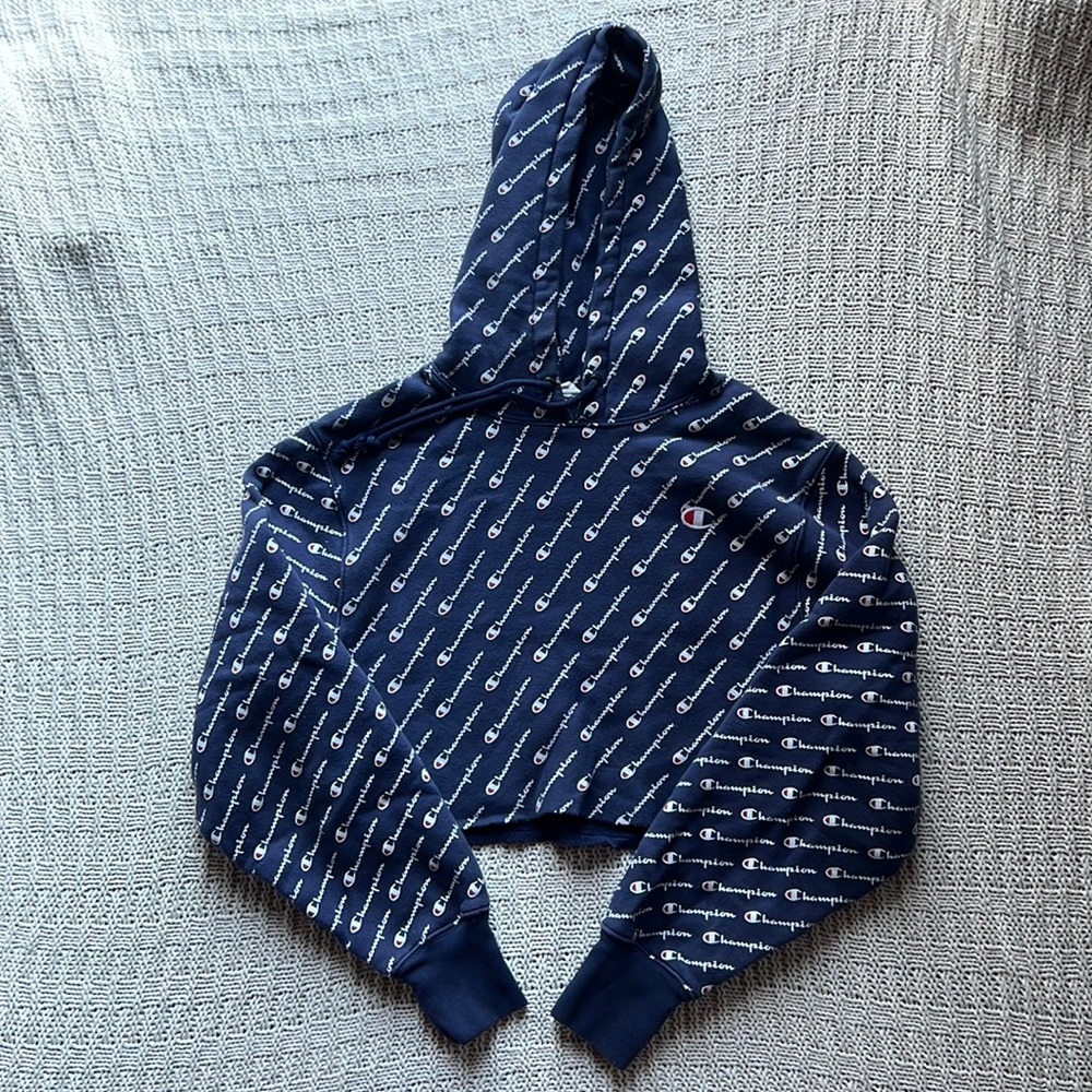 Cropped Champion Hoodie